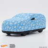 Hot Wheels Blue Flames / Car