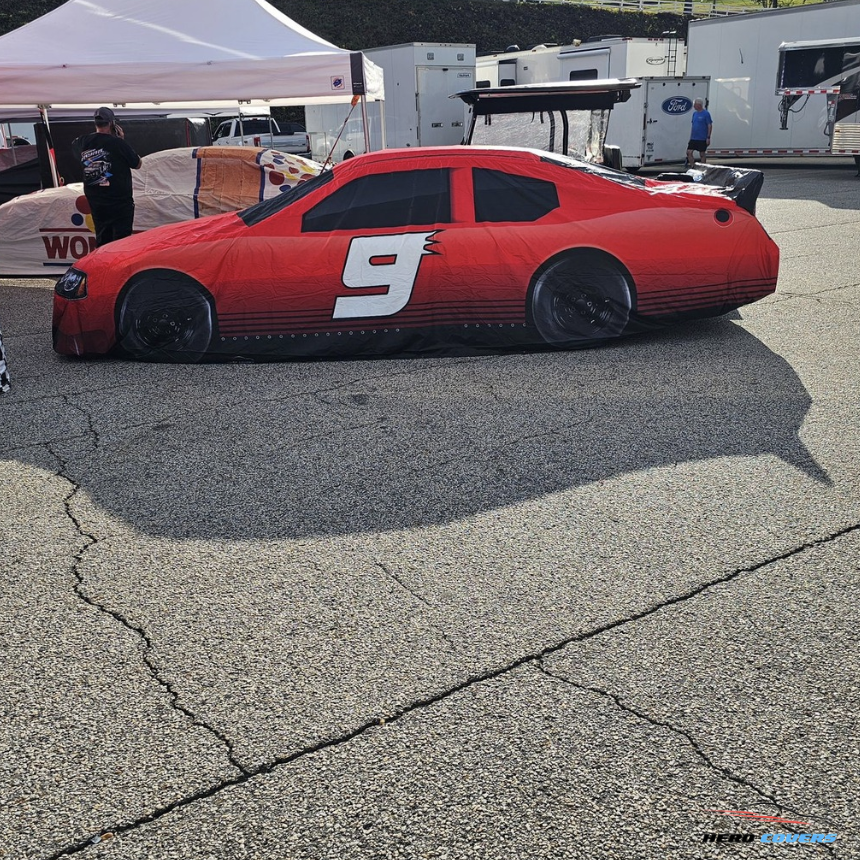 <strong>Race Cars</strong>